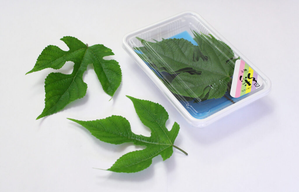 伝説のカジの葉っぱ 株式会社いろどり