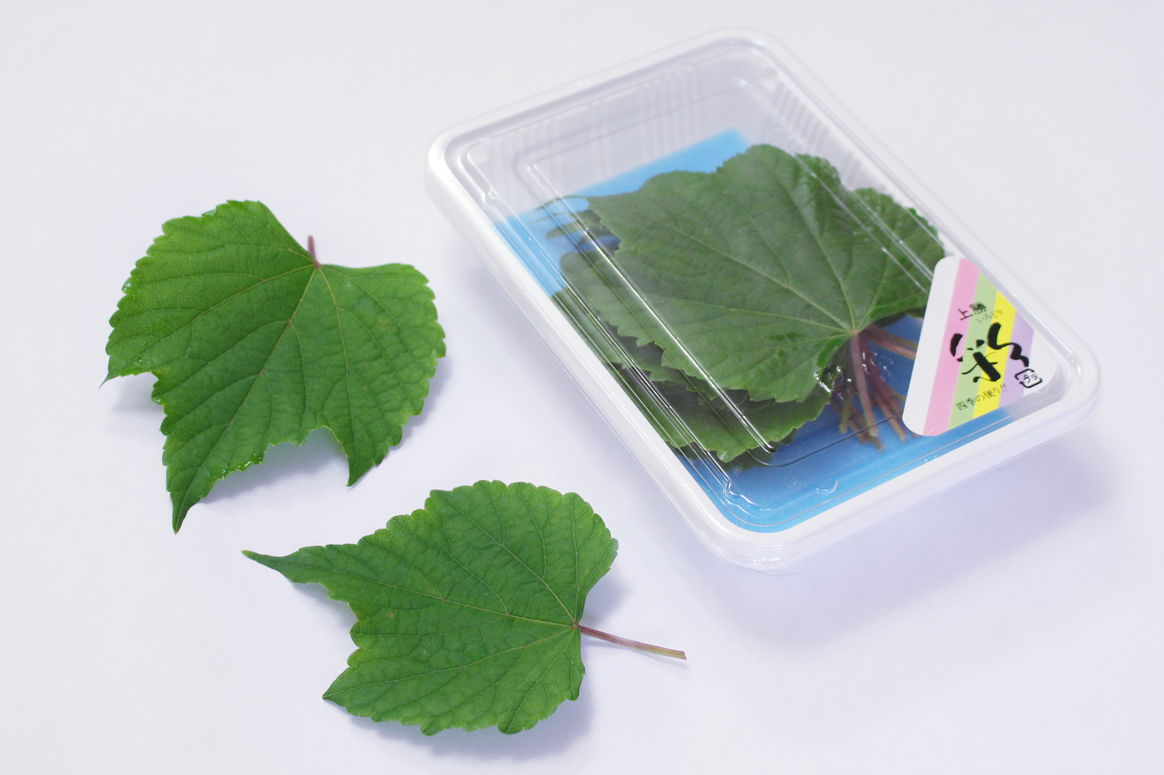 人気の山ぶどう葉 - 株式会社いろどり