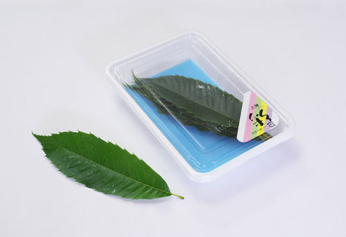 秋の代名詞くり葉とイガ栗 株式会社いろどり