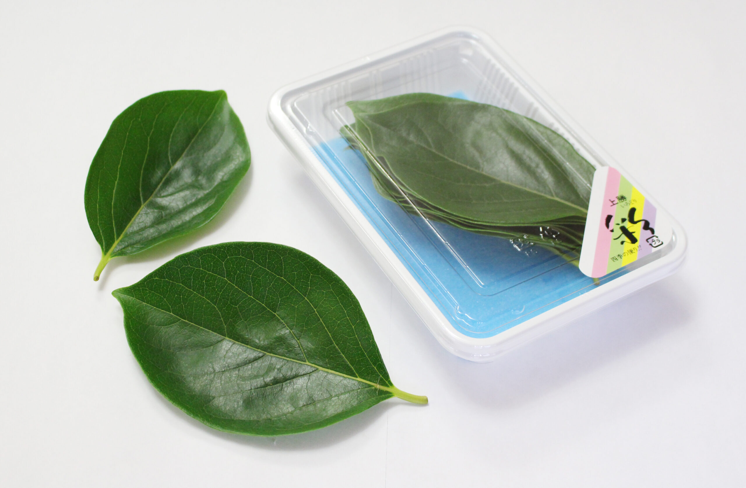 新緑の葉っぱで彩る！！。 - 株式会社いろどり