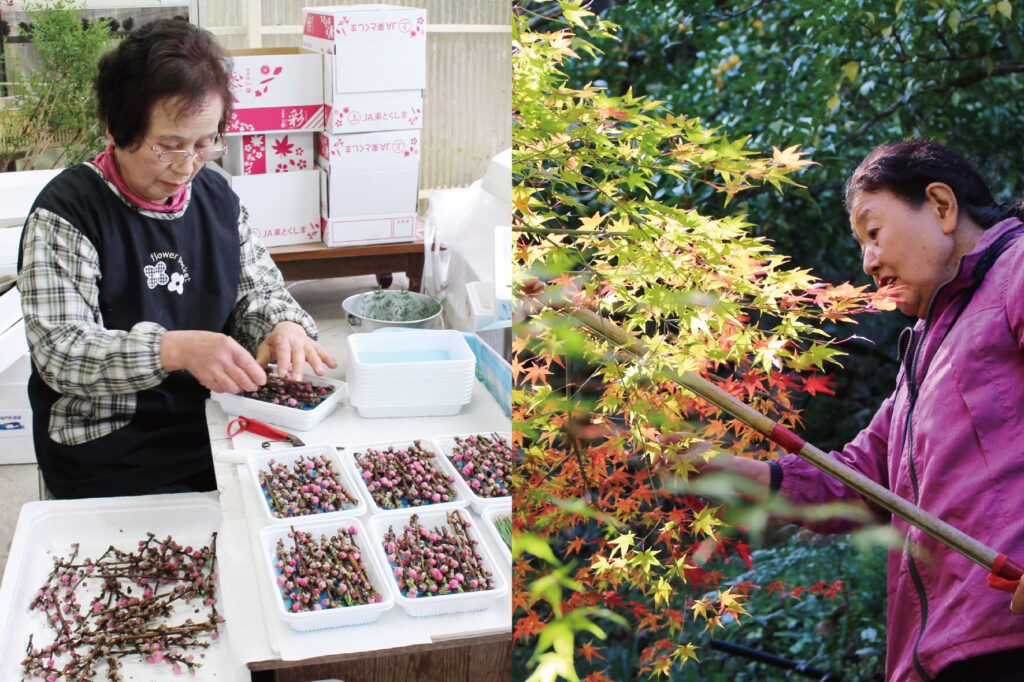 お正月飾りセット 生々しく 南天の葉 南天の実 松 竹 梅 金柑 山茶花