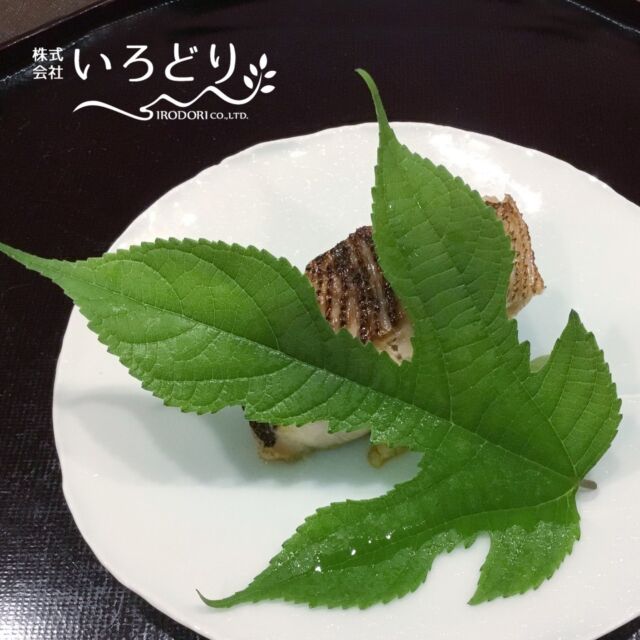 つまもの - 株式会社いろどり